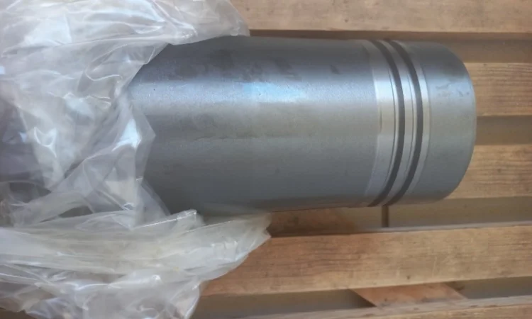 Форсунка двигателя SKL 6NVD26-2 в Киев, Чернигов, Харьков, Ивано-Франковск, Хмельницкий, Сумы - фото № 5