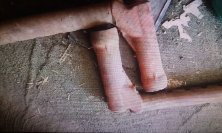 Корпус кулака, цапфы Т-16 (ДСШ14.31.021А) - фото № 1