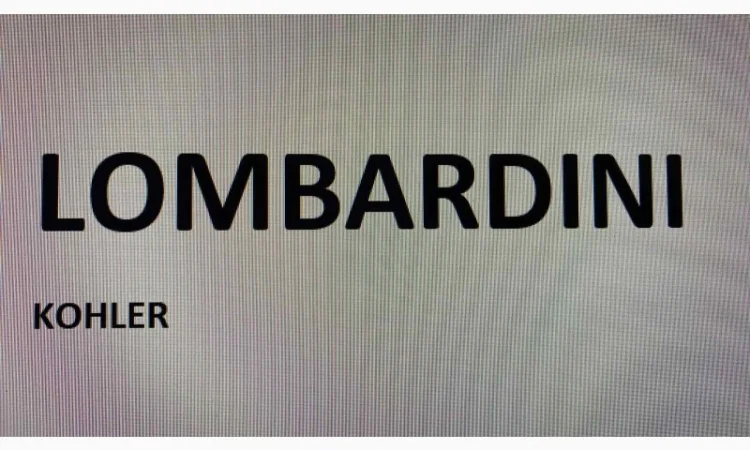 Запчастини до двигунів Lombardini LDW 2204 (МТЗ-422) - фото № 1