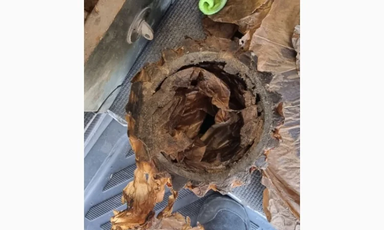 Запчасти на реверс-редуктор 3Д6, 3Д12, 6Ч12/14 в Киев, Запорожье, Днепр, Хмельницкий - фото № 8