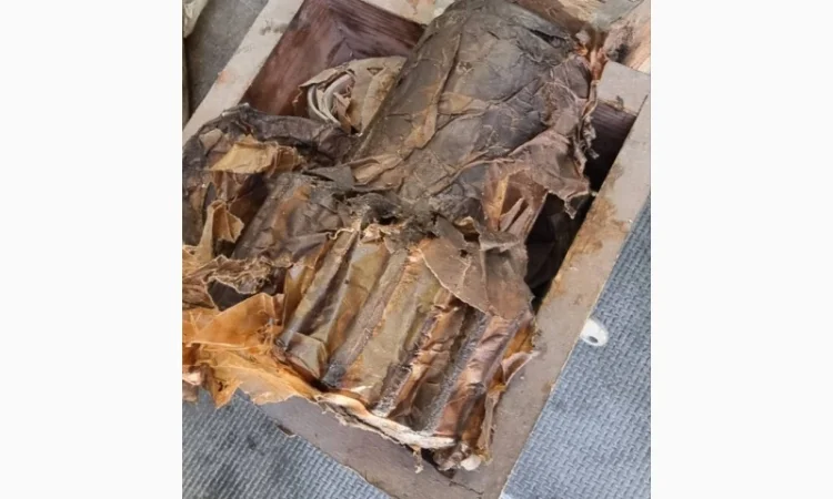 Запчасти на реверс-редуктор 3Д6, 3Д12, 6Ч12/14 в Киев, Запорожье, Днепр, Хмельницкий - фото № 3