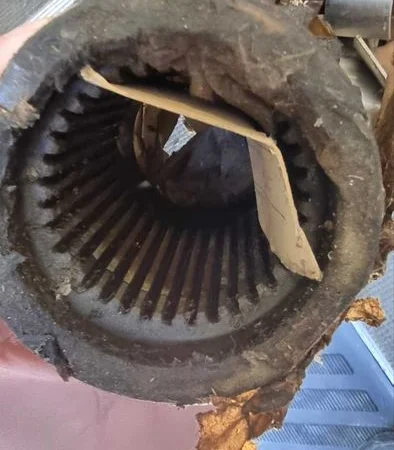 Запчасти двигателя 1Д6, 1Д12, 3Д6, 3Д12 в Одесса, Николаев, Львов, Днепр, Полтава - фото № 12