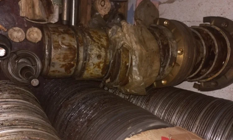 Промопора ДГУКУ, МПТ, АДМ в Киев, Львов, Полтава, Житомир, Одесса, Хмельницкий, Сумы, Харьков - фото № 10