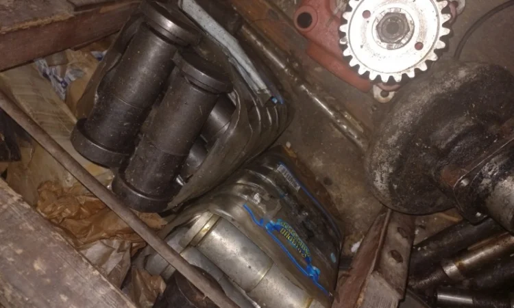 Промопора ДГУКУ, МПТ, АДМ в Киев, Львов, Полтава, Житомир, Одесса, Хмельницкий, Сумы, Харьков - фото № 5