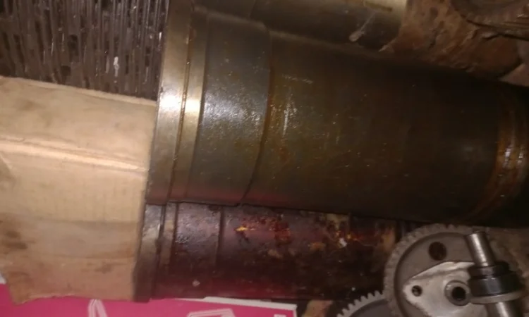 Промопора ДГУКУ, МПТ, АДМ в Киев, Львов, Полтава, Житомир, Одесса, Хмельницкий, Сумы, Харьков - фото № 4