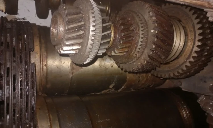 Промопора ДГУКУ, МПТ, АДМ в Киев, Львов, Полтава, Житомир, Одесса, Хмельницкий, Сумы, Харьков - фото № 3