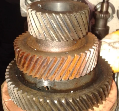 Шестерня коленвала, распредвала ЮМЗ - фото № 1