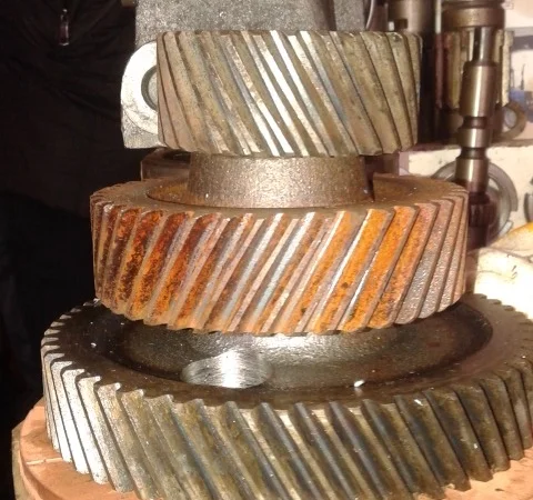 Шестерня коленвала, распредвала ЮМЗ - фото № 2