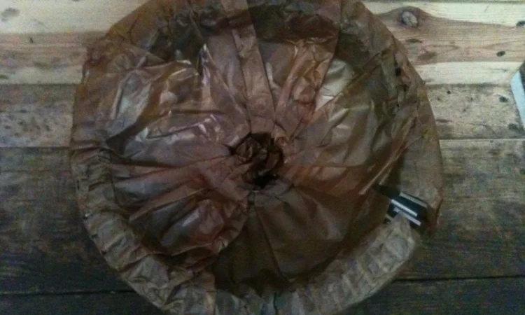 Шестерня ведомая 72-2308062 - фото № 2