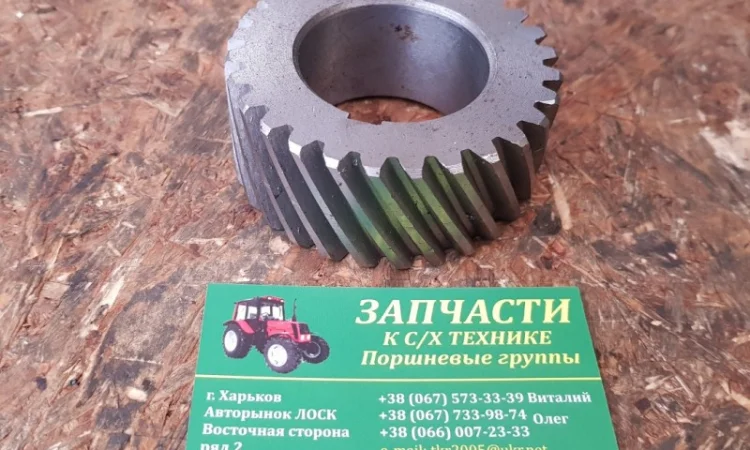 Шестерня ЮМЗ коленчатого вала Д03-005 (ЮМЗ, Д-65) - фото № 1