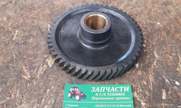 Шестерня распредвала Д37М-1006240-А8 (Д-144, Д-21) паразитная - фото № 1