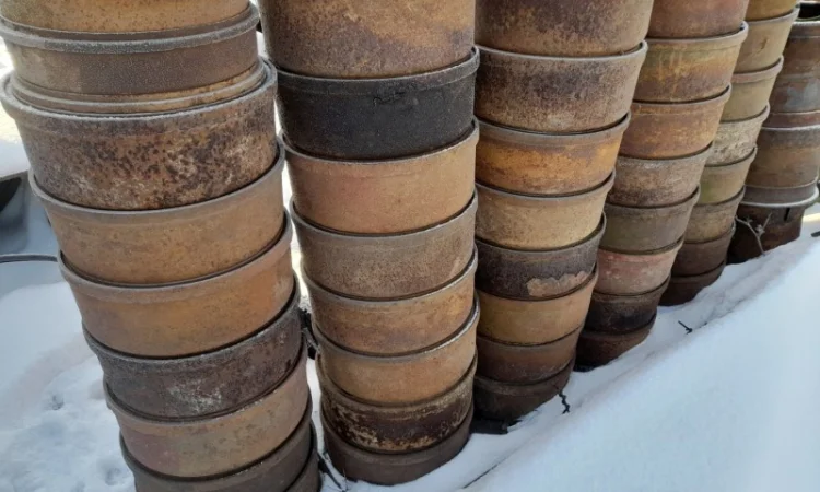 Продам для тракторного причепа 2ПТС-9 гальмівні барабани - фото № 1