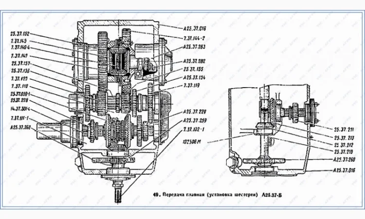 Шестерня КПП Т-25А (А25.37.229Б) Z=15/29 ведущая промежуточного (реверса) вала - фото № 4