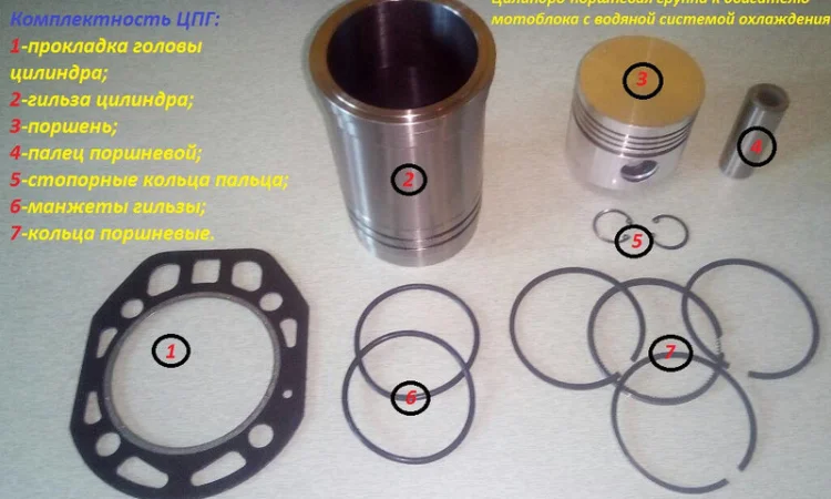 Купить запчасти на мотоблок Зубр в Украине - фото № 5