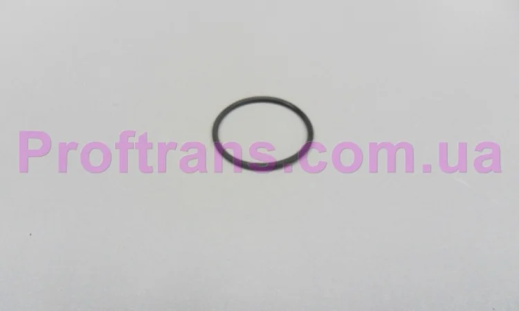 500324249 кольцо резиновое помпы гидроусилителя O-RING IVECO DAILY 3.0 00-12, FIAT DUCAT - фото № 1