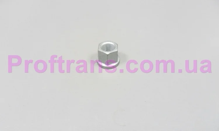 504247869 Гайка стремянки IVECO M18*1.5 - фото № 1