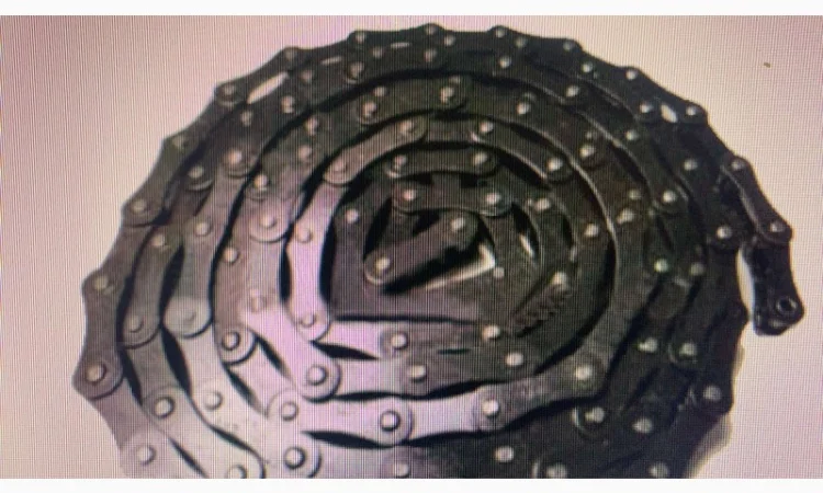 Ланцюг Claas, John Deer, Fortschritt, New Holland, Massey - фото № 6