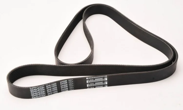 Ремень Claas 0007801600 dayco - фото № 1