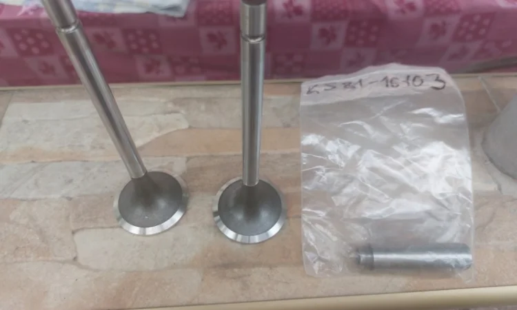 Клапан двигуна OEG ВПУСК (45.5X9.0X144.9) Клаас ягуар двигатель om460 la - фото № 1