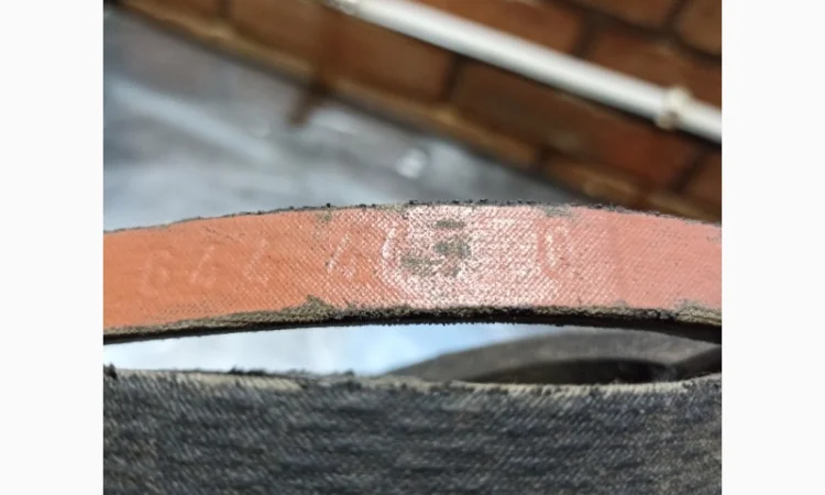 644447 Привідний клиновий ремінь - фото № 1