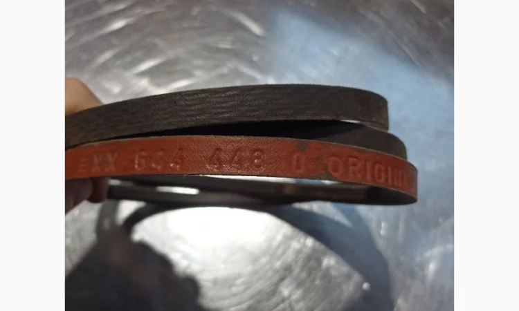 644448 Пас - фото № 1