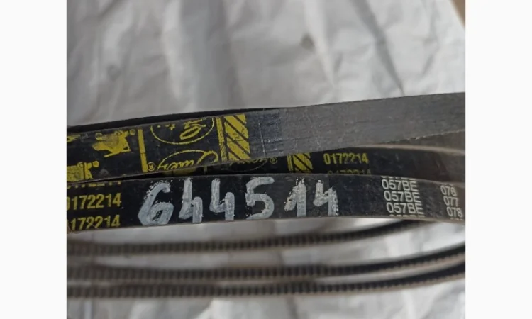 Ремень 644514 - фото № 1