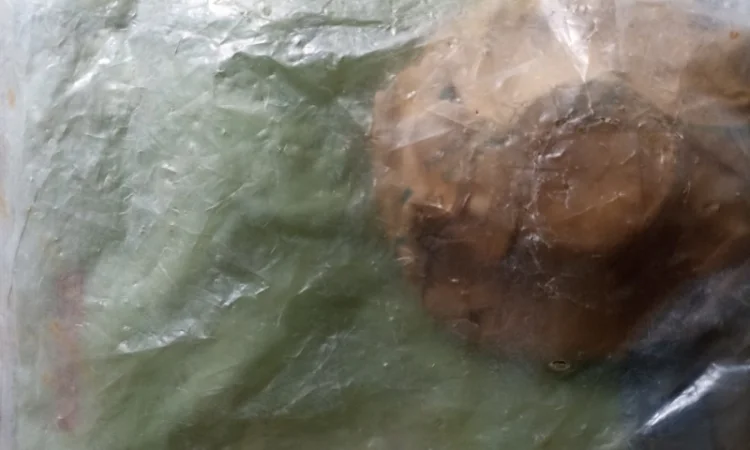 Зірочка 646126 - фото № 2