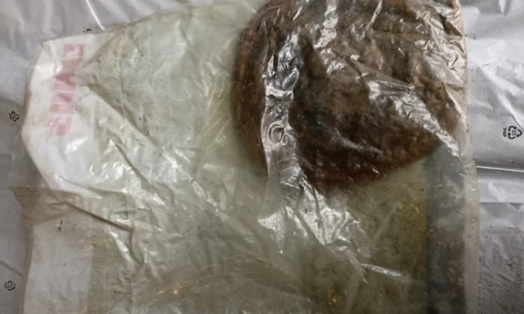 Ланцюг 626783 - фото № 2