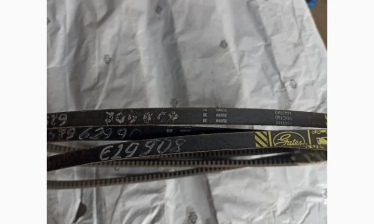 Ремінь 629908 Claas - фото № 1