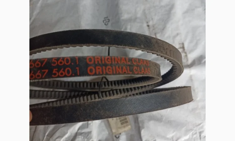 Пас 667560 - фото № 1