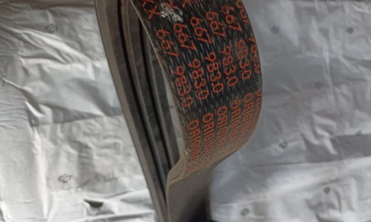 Пас 667983 - фото № 1