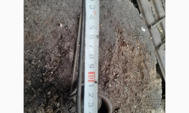 Пружини для комбайна Нива, культиватора - фото № 4