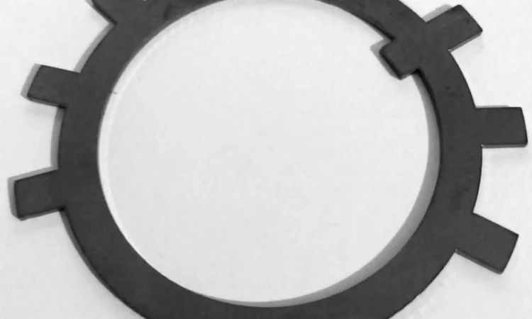 Шайба багатолапчата ГОСТ11872-89 - фото № 1