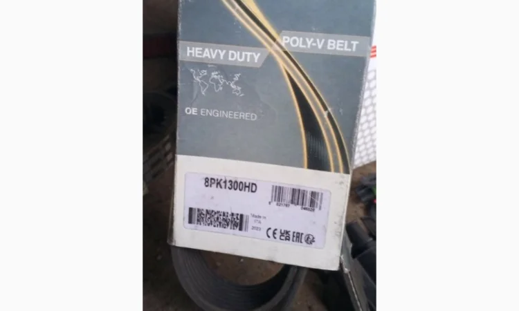 Ремінь 8PK1300HD, DAYCO - фото № 2