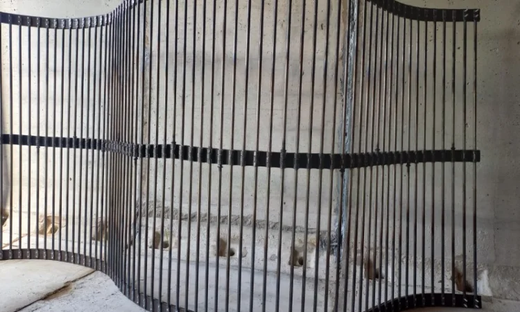 Зірки до КТН-2, КСТ-1.4, Дружба, Рязанец - фото № 5