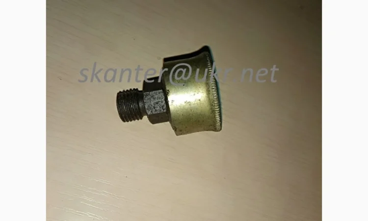 Маслянка ковпачкова 12.5 - фото № 1