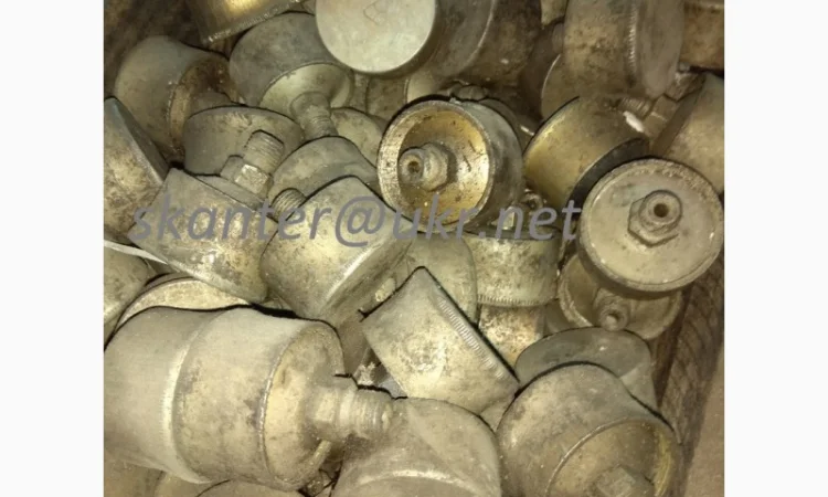 Маслянка ковпачкова 12.5 - фото № 2