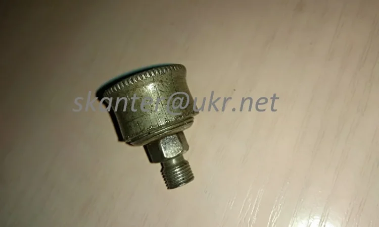 Маслянка ковпачкова 6.3 - фото № 1