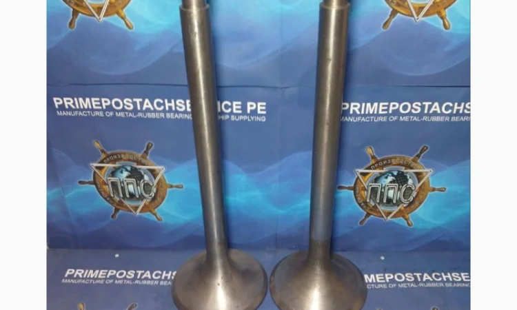 Капан газорозподілу всмоктування ДВЗ 6NVD48AU - фото № 1