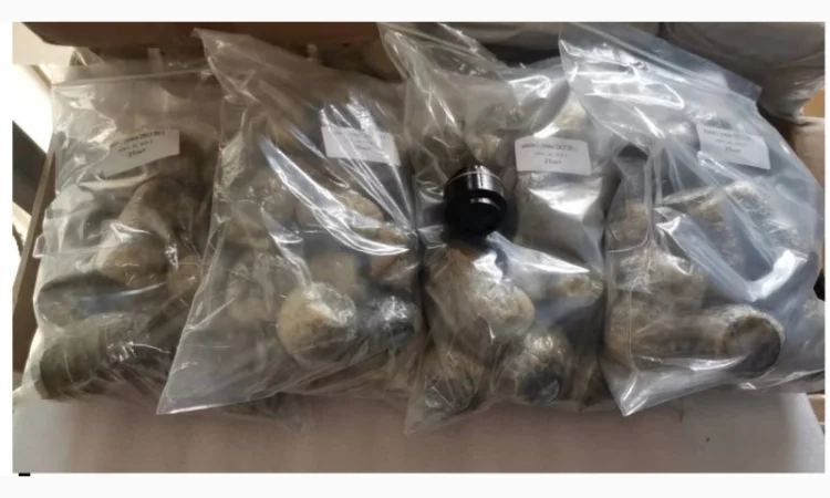 Клапан 2-го ступеня, 2ОК1.87.1СБ-2 - фото № 1