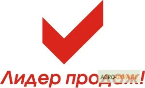 Двигатель бензиновый Sadko (Садко) GE-200 PRO (фильтр в масл. ванне). Оригинал. Гарантия - фото № 8