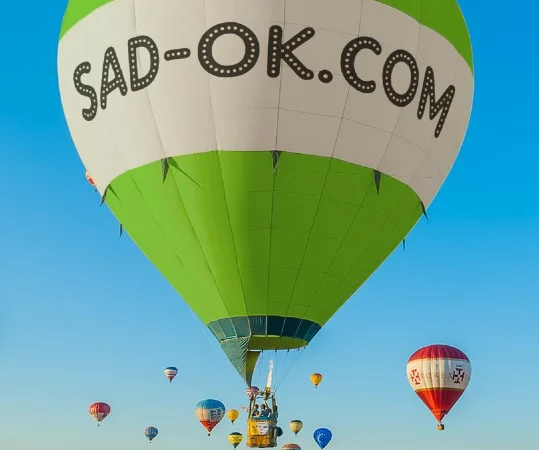 Двигатель Weima Вейма Бензин - Дизель. Шлиц. Шпонка. 6-20 л.с - фото № 12