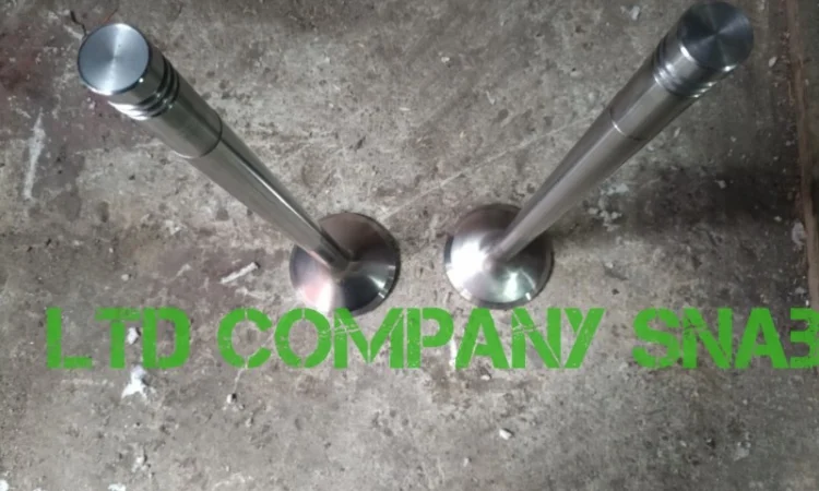 Клапан впускной Д50.09.009 и выпускной Д50.09.010 - фото № 1