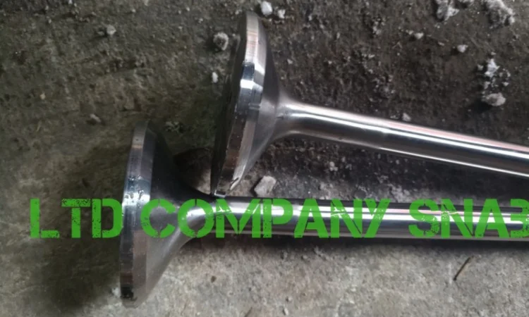 Клапан впускной Д50.09.009 и выпускной Д50.09.010 - фото № 2