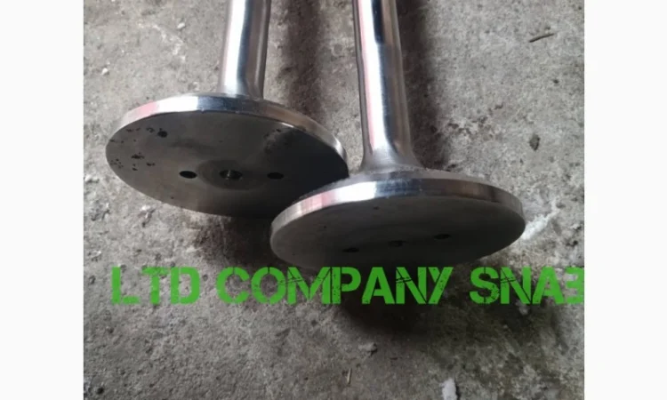 Клапан впускной Д50.09.009 и выпускной Д50.09.010 - фото № 3