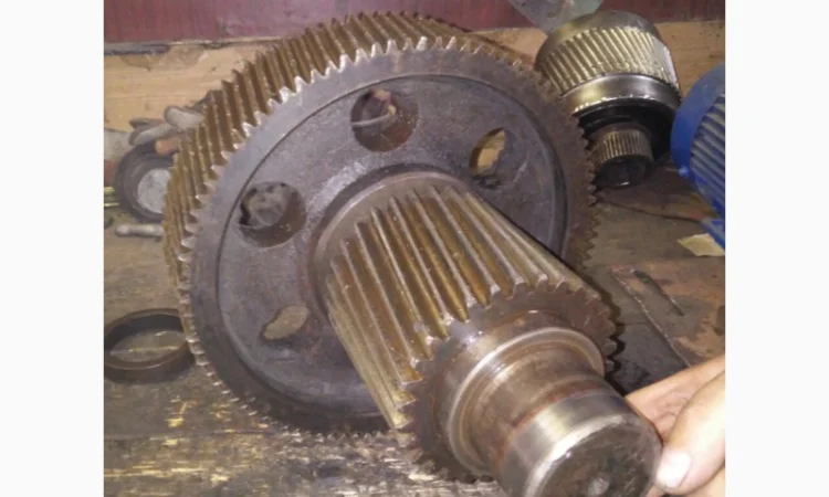 Запчасти для редукторов прессов грануляторов ОГМ 1, 5 - фото № 11