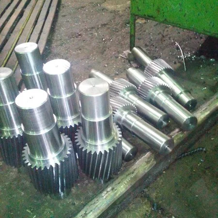 Запчасти для редукторов прессов грануляторов ОГМ 1, 5 - фото № 12