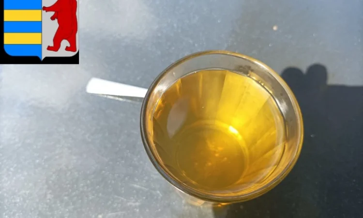 Яблочный уксус и диабет: что показывают исследования - фото № 3