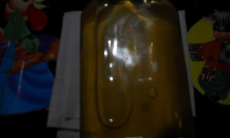 Уксус яблочный домашний - фото № 3