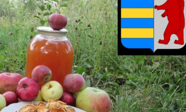 Яблочный уксус для волос: естественный уход и красота прядей - фото № 19